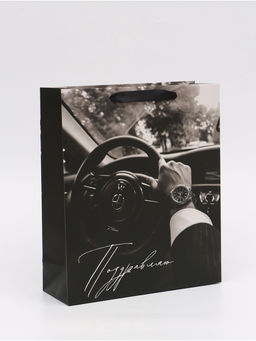 Цена за 2 шт. Пакет подарочный Поздравляю, M 25,5 ? 30 ? 9 см