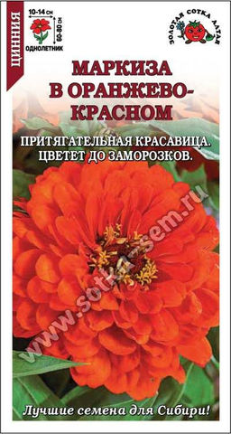Цинния Маркиза в Оранжево-красном 0,2г (Золотая сотка Алтая)