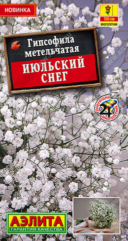 Гипсофила махровая Июльский снег многолетняя (2028)