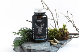 Панталфит - 6 Премиум Травяной сбор тонизирующий при хронической усталости Алфит 5226  фото 5