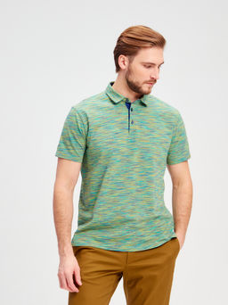 Джемпер мужской с воротником поло короткий рукав GREG G144-KM1246-OR1013 (зеленый)_V фото 5