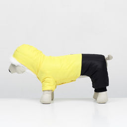 Комбинезон Пушок, размер S (ДС 25 см, ОГ 37, ОШ 28 см), жёлтый - Simaland фото 4