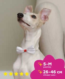 Бабочка "Бэта", белая, размер S-M,ош 26см-46см бб13S-M 11сд22