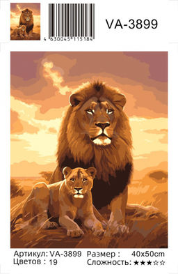 Картина по номерам на холсте и подрамнике 40х50 см