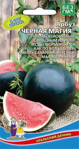 Арбуз ЧЁРНАЯ МАГИЯ  Ультраскороспелый! С мощным ростом! Множество ягод-плодов! Мякоть сахарная, малосемянная!