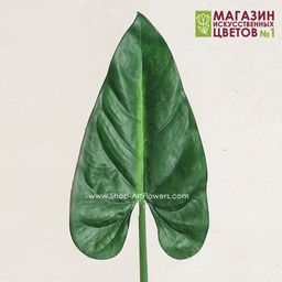 093 Лист каллы