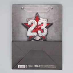 Цена за 2 шт. Пакет подарочный ламинированный, упаковка, С 23 февраля, MS 18?23?10 см