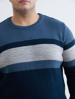 Bisiklet Yaka Renk Bloklu Erkek Triko Kazak