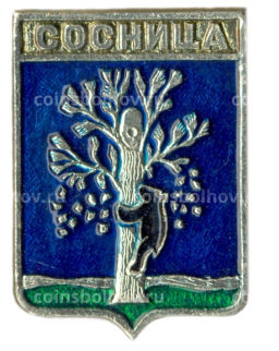 Значок Сосница