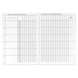 Классный журнал 10-11 класс арт. 5193