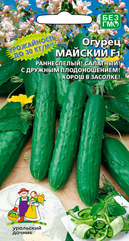 Огурец МАЙСКИЙ F1  Один из самых ранних с рекордной урожайностью до 30 кг/кв.м!