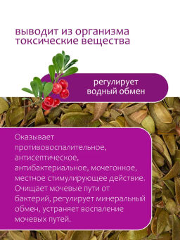 Толокнянка - Травы горного крыма фото 4