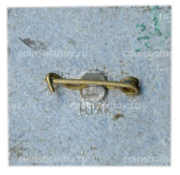 Значок Раубичи