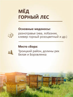 Мёд Бортников Горный лес, ст.банка 500г - Берестов А.С. фото 5