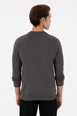 Мужской свитшот антрацитового цвета Неожиданная скидка в корзине - U.s. polo assn фото 5