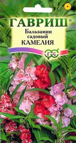 Камелия садовый бальзамин 0,2г (г)