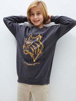 Rahat Kal?p Bisiklet Yaka Bask?l? Erkek ?ocuk Sweatshirt - Waikiki фото 2