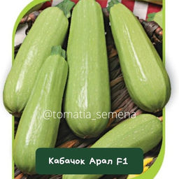 Кабачок Арал F1