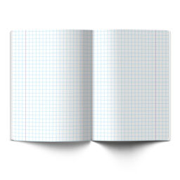 Светоч 12ТСК5_1_1_5 Тетрадь ученическая школьная Классная A5 12 л. на скобе 65 г/кв.м , белизна 100 % 25 шт. крупная клетка 000288 Зеленая фото 4