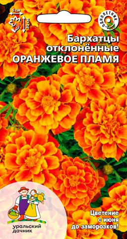 Бархатцы ОРАНЖЕВОЕ ПЛАМЯ