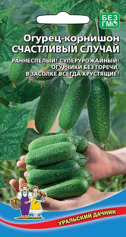 Огурец СЧАСТЛИВЫЙ СЛУЧАЙ Раннеспелый! Суперурожайный! Огурчики без горечи, в засолке всегда хрустящие!