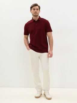 Джемпер мужской с воротником поло короткий рукав GREG G144-PO1246T-SA2081 (бордо)  фото 6