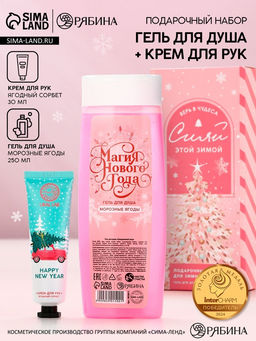 Подарочный набор косметики Магия Нового года, гель для душа 250 мл и крем для рук 30 мл, Чистое счастье