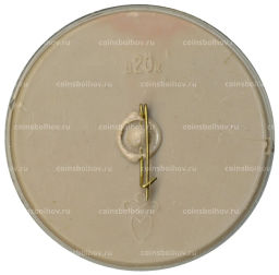 Значок Минни Маус