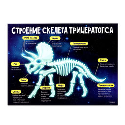 Набор для опытов Эпоха динозавров, скелет трицератопса - Эврики фото 7
