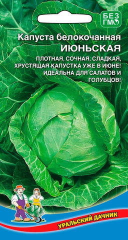Капуста ИЮНЬСКАЯ