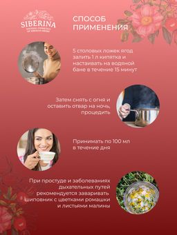 Шиповник (плоды) защита от простуд и инфекций - Siberina фото 8