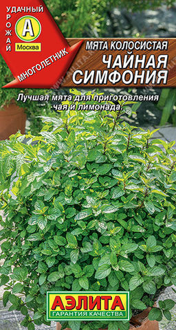 0597A Мята колосистая Чайная симфония 0,05 гр