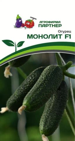 Огурец партенокарпический Монолит