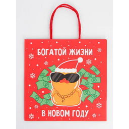 Набор пакетов новогодних крафтовых 5 штук «С Новым годом тебя!», 21 × 12 × 9 см