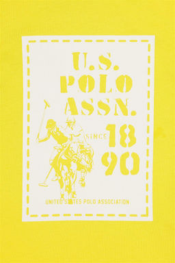 Футболка U.S. Polo Assn фисташковая хлопок  фото 4