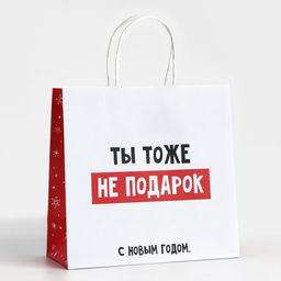 Пакет подарочный новогодний «Ты тоже не подарок», 22×22×11 см