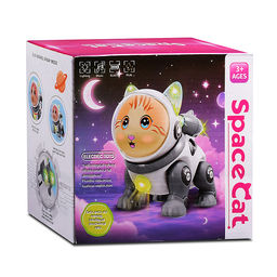 Кот "Электрокосмический кот" в коробке
