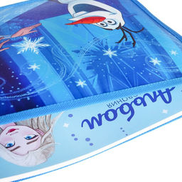 Папка д/тетрадей А4 молния сверху пластик ПМ-А4-29, ХС: Эльза