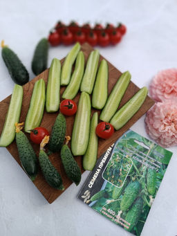 Огурец ПУЧКОВОЕ ВЕЛИКОЛЕПИЕ F1  Уникальный!