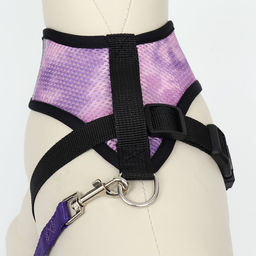 Комплект для собак 3-5 кг, размер S, поводок 120 х 1,5 см, ОШ 24 см, ОГ 34 см - Пижон фото 4