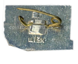 Значок Киев