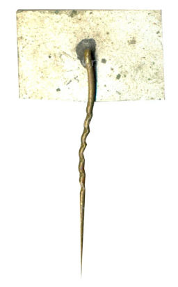 Значок Вильнюс