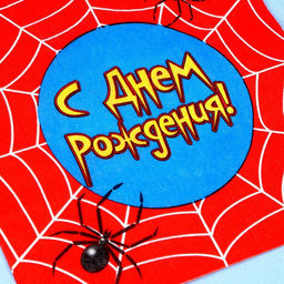 Набор для праздника С днём рождения. Паутина - Страна карнавалия фото 5