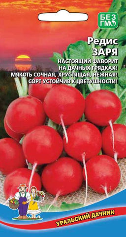 Редис ЗАРЯ  Настоящий фаворит на дачных грядках! Мякоть сочная, хрустящая, нежная! Сорт устойчив к цветушности!