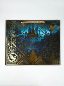 Пакет новогодний подарочный ламинированный «Волшебство», Гарри Поттер, XL 49×40×19 см