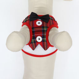 Комплект с мягкой шлейкой и бантиком Клетка, размер M, поводок 120 x 1,5 см, ОГ 28-46 см - Пижон фото 9