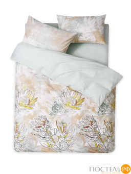 КПБ DOME САКЕНДИ  фото 5