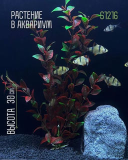 Растение Алиса 1216S (4*30см)