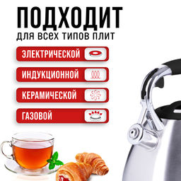 28972 Чайник 3 л нерж/сталь со свистком MB (х12) - Mayer&boch фото 9