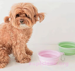 Складная чашка - Купи слона фото 4